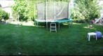 My backyard