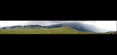 27423-400x189