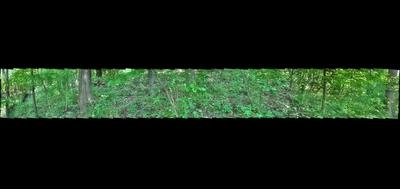 27434-400x189