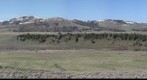 Lamar Valley