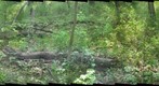 junction_trail9_290509