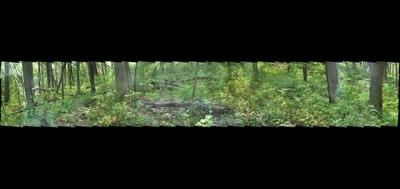 27495-400x189