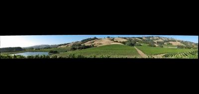27555-400x189