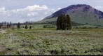 Open Vista in Yellowstone National Park