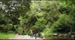 Pescadero Creek, Memorial County Park, Loma Mar, CA