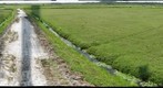 South Jersey Cranberry Bog