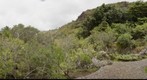  Jardin Botanico Viera y Clavijo. Isla de Gran Canaria   