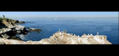 2768-400x189