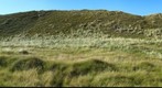 View on huge dyke near nature reserve De Slufter on Texel, Holland, Netherlands