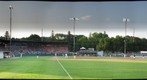 Honkers Baseball