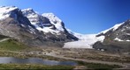 Icefield in Summer
