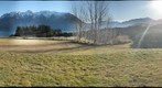 NZ Front View