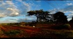 Brasilia Congress and Homeless