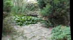 Pond