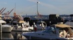 Harbor Seattle