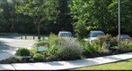 Pennsylvania Pollinator Garden