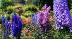 Butchart Gardens (2)