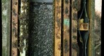 Honey Bee Hive with Heavy Chalkbrood