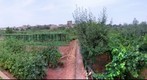 Huerta