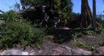 Caminos