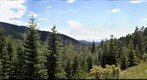 Santa Fe National Forest