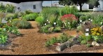 Lancaster Pollinator Garden