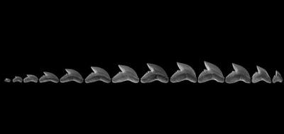 28370-400x189