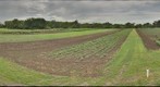 East Bank Research Plots