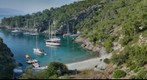 Ali Tunas Coldwater Bay