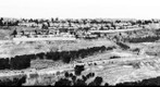 Ma'ale Adumim Israeli Settlement