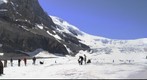 Canadian Rockies (1) - Icefield