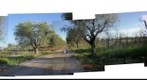Finca