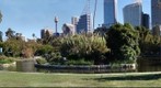 Botanical Gardens - Sydney