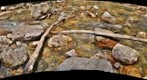 Big Cottonwood Creek - Detail