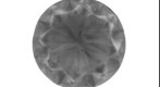 5050_L11