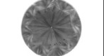 5050_L17