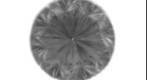 5050_L19