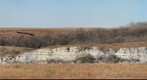 Distant Cutbank