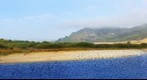 Sunny and foggy California coast