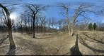 Bachelors Grove Cemetery