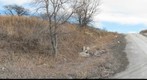 Smoky Hill Quarry on H Road