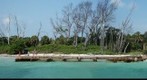 Egmont Key Island, Near Tampa Bay, Florida