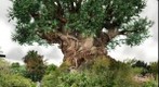 Tree Of Life