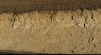 Saline River Roadcut (North) Smoky Hill Member (Detail)