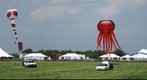 Kites