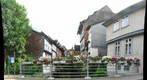 Kliene Venidig (Little Venice), Wolfenbuttel, Germany - Floral focus