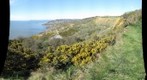 Black Ven and Lyme Regis