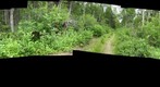 Terra Nova - Malady Head Handheld