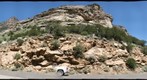 Lamoille Canyon Site D