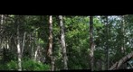 Terra Nova - Platter's Beach Trail